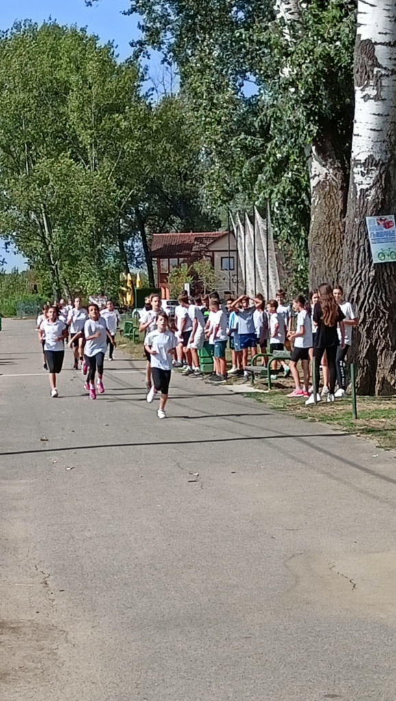 IMG20230922110922.jpg IMG20230922110922.jpg